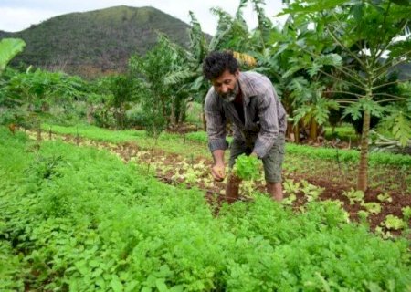 COMISSÃO OUVE MINISTRO DO DESENVOLVIMENTO AGRÁRIO SOBRE PLANOS DA PASTA PARA ESTE ANO
