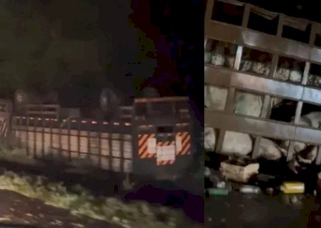 CARRETA BITREM DE GADOS COM PAIS E TRÊS CRIANÇAS TOMBA NA BR-163