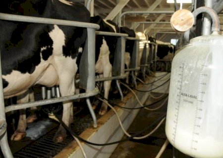 PREÇO DO LEITE AO PRODUTOR TEM NOVA VALORIZAÇÃO EM MARÇO E ACUMULA ALTA DE 13% NO TRIMESTRE