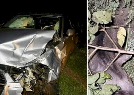 ANTA INVADE PISTA E CAUSA ACIDENTE COM CARRO NA BR-163