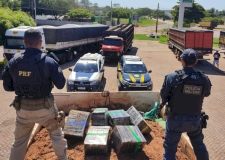 PRF E PM REALIZAM MAIOR APREENSÃO DE MACONHA DO ANO EM JARDIM