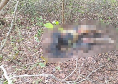 POLÍCIA AINDA NÃO IDENTIFICOU CADÁVER ENCONTRADO DECAPITADO