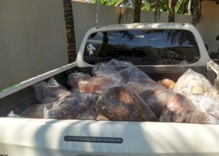 POLICIAIS RECOLHEM 430 KG DE ALIMENTOS EM DESACORDO COM NORMAS SANITÁRIAS