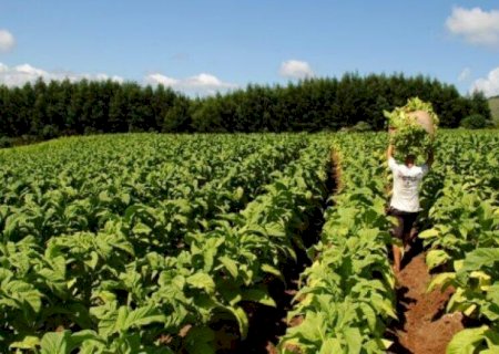 COMISSÃO DE AGRICULTURA DEBATE DIFICULDADES PARA O ACIONAMENTO DO PROAGRO