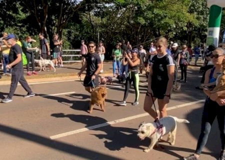 AÇÕES DE CONSCIENTIZAÇÃO CONTRA MAUS-TRATOS A ANIMAIS CHEGAM A DUAS CIDADES DE MS