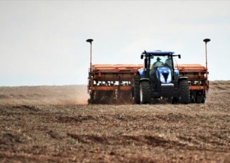 MERCADO DO AGRONEGÓCIO INICIA COM PREÇOS ESTÁVEIS EM DOURADOS