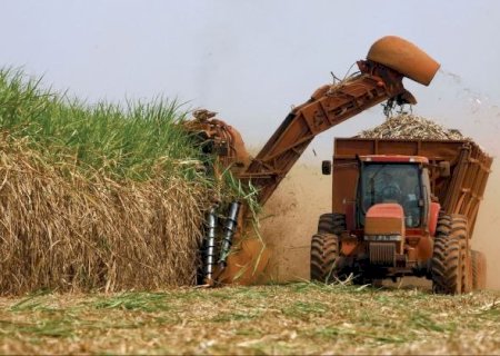 MS COLHE A MAIOR SAFRA DE CANA DE SUA HISTÓRIA E BATE RECORDE DE PRODUÇÃO DE AÇÚCAR E ETANOL