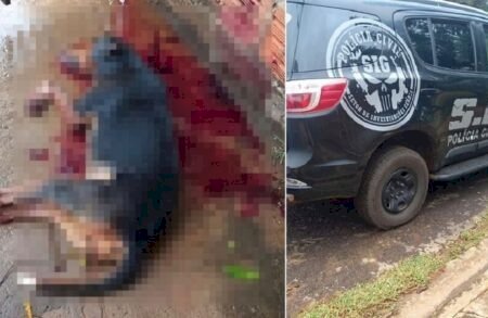 POLÍCIA CIVIL BUSCA HOMEM QUE ASSASSINOU CACHORRO E BALEOU HOMEM