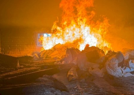 POLÍCIA INCINERA 500 KG DE MACONHA EM CIDADE DO INTERIOR DO MS
