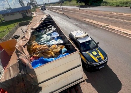 POLÍCIA APREENDE 9,4 TONELADAS DE MACONHA EM NOVA ANDRADINA