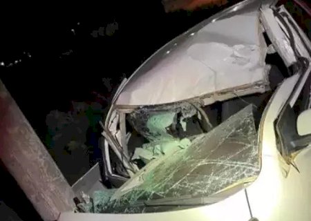 MS-164: VEÍCULO CAPOTA E BATE EM POSTE APÓS MOTORISTA SE ASSUSTAR COM ENXAME