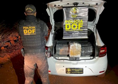 CARGA DE ENTORPECENTE AVALIADA EM QUASE R$ 340 MIL É APREENDIDA ÁREA RURAL