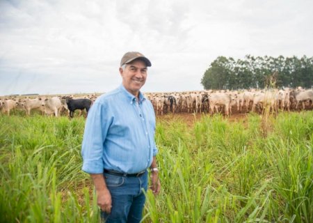JUIZ ACATA PEDIDO DE REINALDO E CONDENA JORNALISTA POR MATÉRIAS SOBRE AQUÁRIO E DESMATAMENTO NO PANTANAL