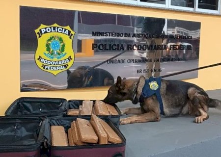 FAREJADORES ENCONTRAM DROGA EM ÔNIBUS E MULHER VAI PRESA