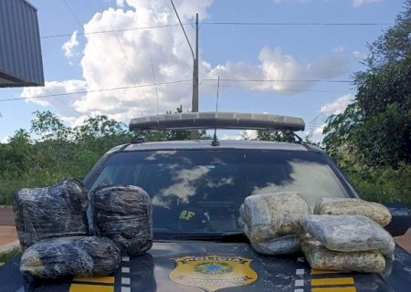 DUAS MULHERES SÃO PRESAS COM SKUNK EM TERENOS