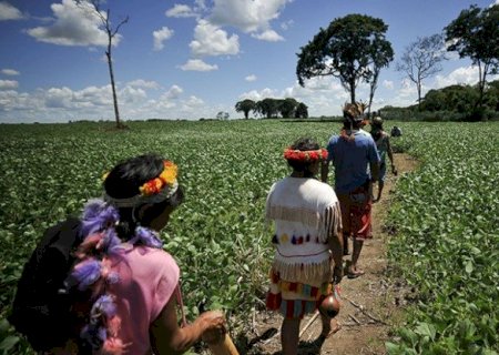 INDÍGENAS DO MATO GROSSO DO SUL SÃO OS MAIS EXPLORADOS POR TRABALHO ESCRAVO