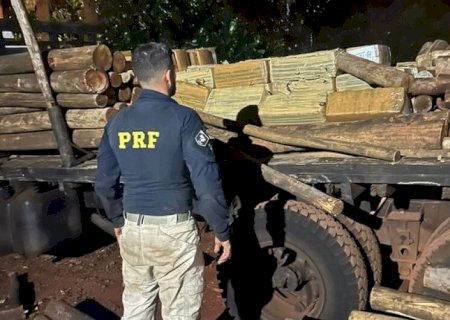 POLÍCIA APREENDE MAIS DE 2T DE MACONHA EM MEIO A CARGA DE EUCALIPTO