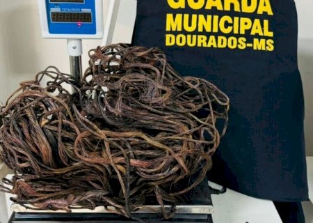JOVENS SÃO DETIDOS APÓS FURTAREM 3 QUILOS DE FIOS DE COBRE NA VILA ROMA