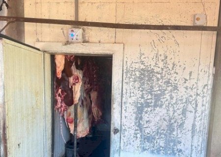 POLÍCIA PRENDE SUSPEITOS DE ABATE CLANDESTINO DE ANIMAIS COM QUASE 3 TONELADAS DE CARNE PARA VENDA