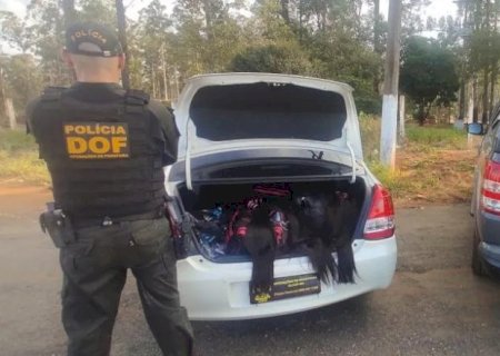 CARGA MILIONÁRIA DE CABELO HUMANO É APREENDIDA À CAMINHO DE DOURADOS