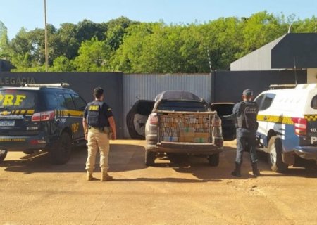 PRF APREENDE 1 TONELADA DE MACONHA EM JARDIM