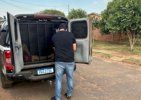 INDIVÍDUO É PRESO APÓS AGREDIR COMPANHEIRA E FURTAR NOTEBOOK DELA