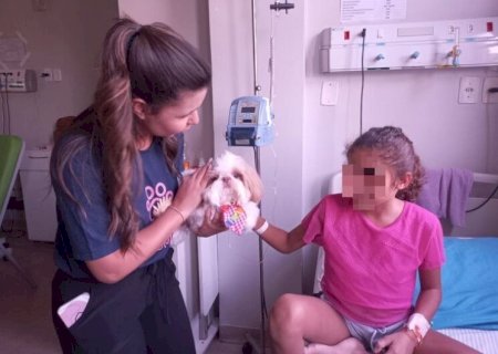 'CÃO TERAPEUTA' VOLTA A HOSPITAL E ENCANTA PACIENTES APÓS DOIS ANOS