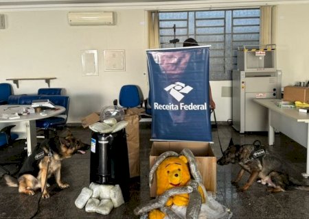 FAREJADORES ENCONTRAM SKUNK DENTRO URSO DE PELÚCIA DURANTE FISCALIZAÇÃO