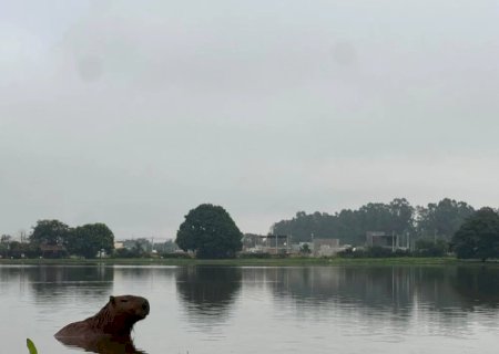 MUDANÇAS GLOBAIS IMPACTAM HISTÓRICO CLIMÁTICO EM DOURADOS