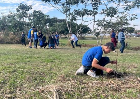 PROJETO DOURADOS + VERDE COMEÇA COM MUDAS DE ÁRVORES PLANTADAS NO PARQUE DO LAGO