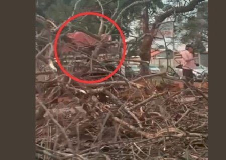 COM FRENTE FRIA SE APROXIMANDO, VENTOS ULTRAPASSAM 35KM/H E DERRUBAM ÁRVORE EM DOURADOS