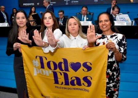 LEI MARIA DA PENHA COMPLETA 18 ANOS COM CAMPANHA #TODOSPORELAS