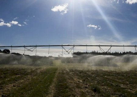 MAPA DIVULGA OS 100 MUNICÍPIOS MAIS RICOS DO AGRONEGÓCIO
