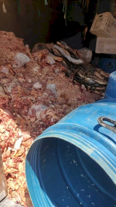 CARNE COM LARVAS:COMERCIANTE É PRESO COM 2T DE PRODUTOS IMPRÓPRIOS PARA CONSUMO