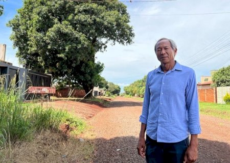 ISHY QUER URGÊNCIA NO MAPEAMENTO DE ÁRVORES EM SITUAÇÃO DE RISCO DE QUEDA NO MUNICÍPIO