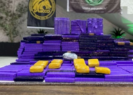 VEÍCULO CARREGADO COM QUASE 750 QUILOS DE MACONHA É APREENDIDO EM ABORDAGEM NA BR-060