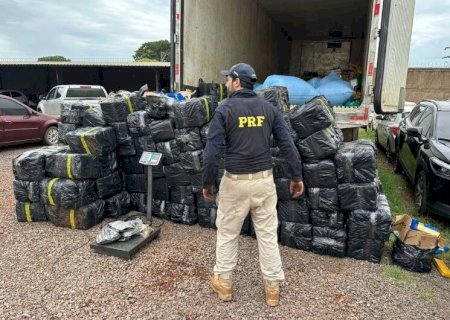 POLÍCIA APREENDE 2,6 TONELADAS DE MACONHA E MUNIÇÕES NA BR-163