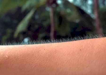 ARREPIO: O QUE SIGNIFICA ESTA SENSAÇÃO NO MUNDO ESPIRITUAL? O QUE SERÁ ISSO MESMO?
