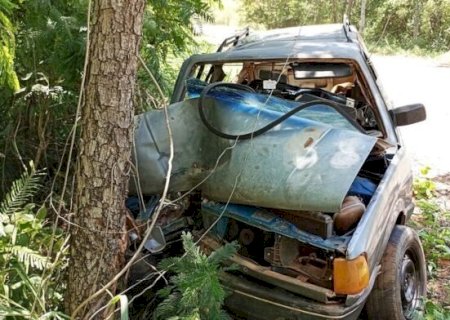 MOTORISTA FRATURA PERNA APÓS COLIDIR CARRO EM ÁRVORE NA MS-450