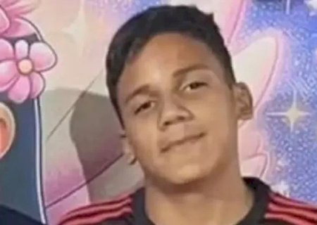 ADOLESCENTE É ATACADO POR ABELHAS E LEVA MAIS DE 4 MIL PICADAS; VÍTIMA ESTÁ EM COMA