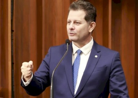 MORTES DE TAMANDUÁS POR AGROTÓXICOS MOTIVAM DEBATE NA ASSEMBLEIA LEGISLATIVA