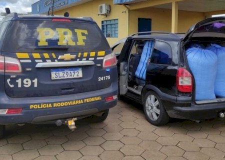 POLÍCIA APREENDE 200 QUILOS DE FOLHAS DE COCA NA RODOVIA BR-267