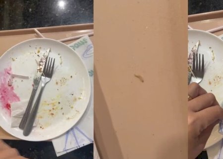 CLIENTE ENCONTRA LARVAS DE MOSCA EM BANDEJA DE RESTAURANTE DE PARQUE AQUÁTICO