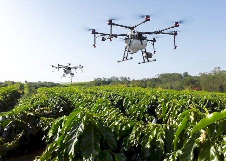 PROTETOR SOLAR PARA PLANTAS? EMBRAPA CRIA PRODUTO PARA EVITAR QUE FRUTAS SE QUEIMEM