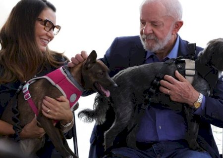 LULA LANÇA PROGRAMA DE IDENTIFICAÇÃO E PROTEÇÃO DE CÃES E GATOS