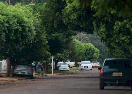 MS LIDERA RANKING NACIONAL DE ARBORIZAÇÃO URBANA, APONTA CENSO