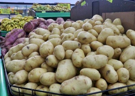 CESTA BÁSICA EM DOURADOS TEM ALTA DE 5,40% E COMPROMETE QUASE METADE DO SALÁRIO MÍNIMO