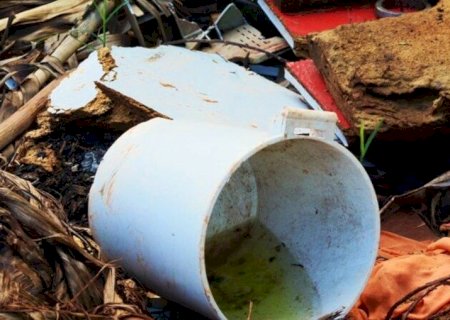 COM SETE MORTES CONFIRMADAS POR DENGUE, SAÚDE INVESTIGA OUTROS SEIS CASOS