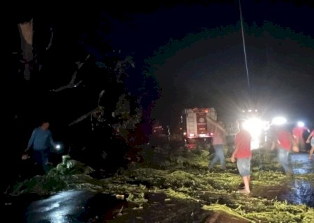 CHUVA COM VENTO DERRUBA ÁRVORE E INTERDITA BR-376 ENTRE FÁTIMA DO SUL E DOURADOS