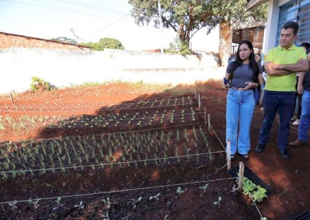 HORTAS AGROECOLÓGICAS GANHAM ESPAÇO NAS ESCOLAS MUNICIPAIS DE DOURADOS
